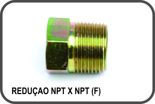 Adaptadores - REDUÇÃO NPT X NPT (F)