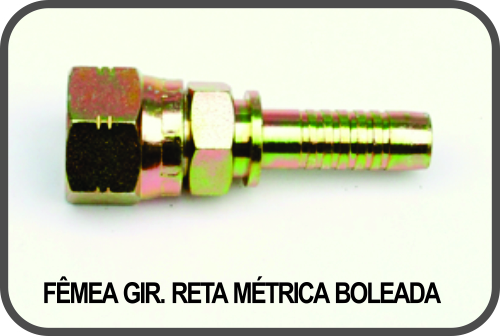 FÊMEA GIRATÓRIA RETA MÉTRICA BOLEADA