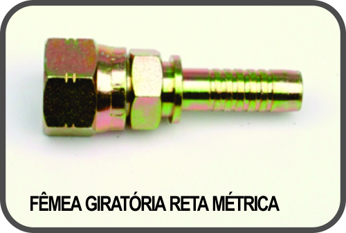 FÊMEA GIRATÓRIA RETA MÉTRICA