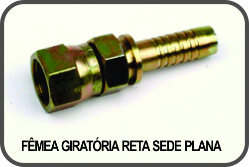 FÊMEA GIRATÓRIA RETA SEDE PLANA