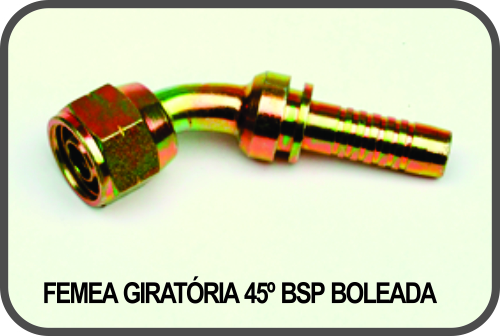 FÊMEA GIRATÓRIA 45º BSP BOLEADA