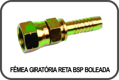 FÊMEA GIRATÓRIA RETA BSP BOLEADA