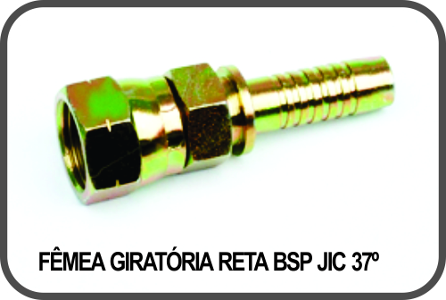 FÊMEA GIRATÓRIA RETA BSP JIC 37º