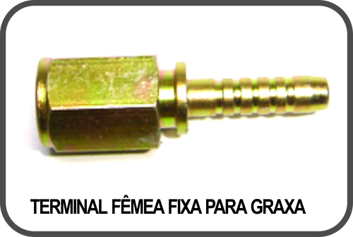 TERMINAIS FÊMEA FIXA PARA GRAXA